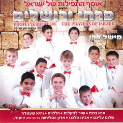 Shir Lamalot (A Song of Ascents)