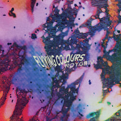 I Don't Want To Let You Down