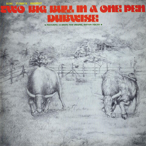 Two Big Bull In A One Pen Dubwise