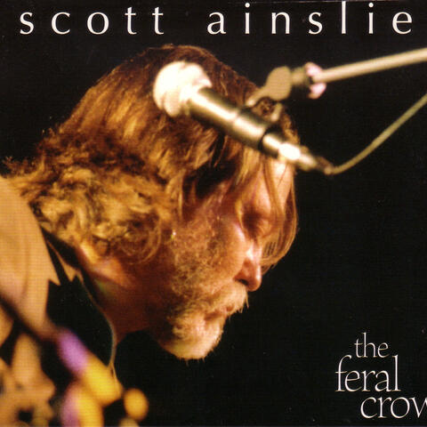 The Feral Crow