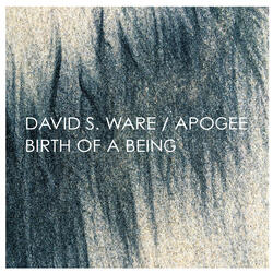 Thematic Womb
