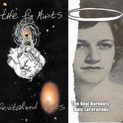 Coulda Woulda Shoulda