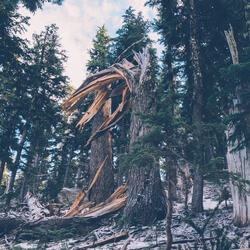 Kinda (Makes You Feel Good)