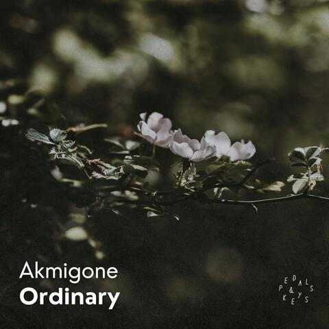 Ordinary