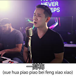 xue hua piao piao bei feng xiao xiao (一剪梅 Yi jian mei)