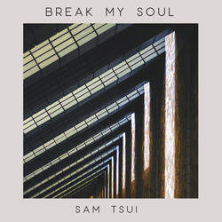 BREAK MY SOUL