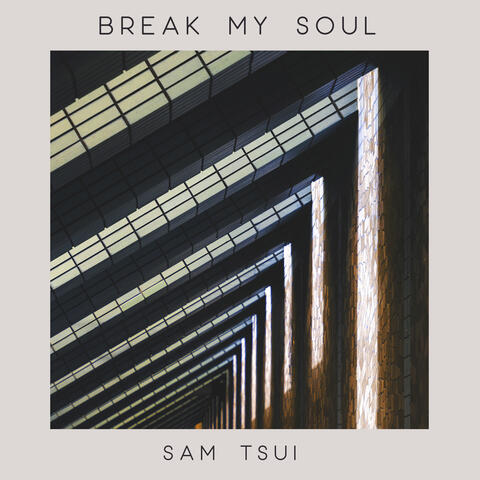 BREAK MY SOUL