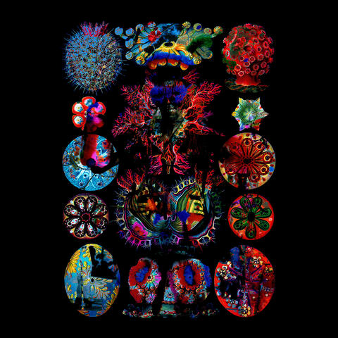 Jus Now: The Remixes