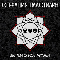 Цветами сквозь асфальт