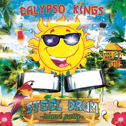 Steel Drum Island Party