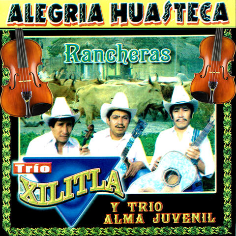 Alegria Huasteca