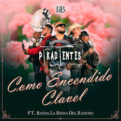 Como Encendido Un Clavel