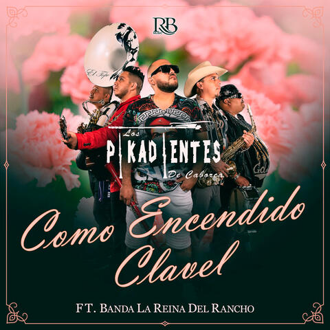 Como Encendido Un Clavel