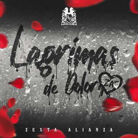 Lágrimas De Dolor