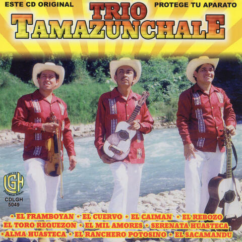 Trio Tamazunchale