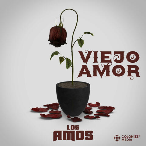 Viejo Amor