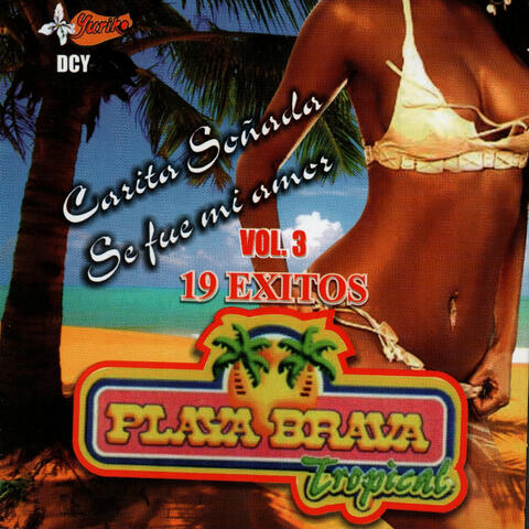 19 Exitos  Vol. 3