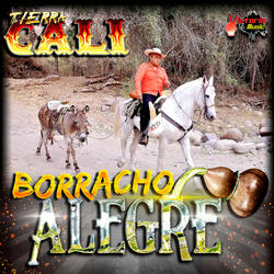 Borracho Alegre