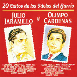 Ojos Canela