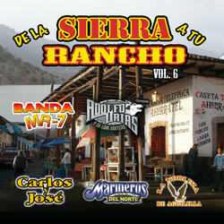 El Burro Pardo