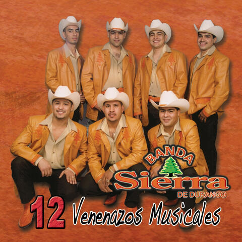 12 Venenazos Musicales