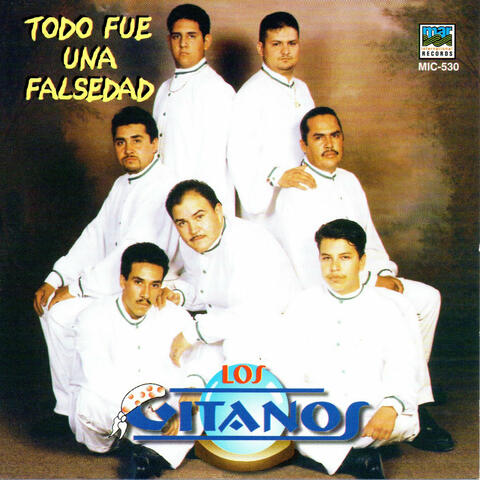 Todo Fue Falsedad
