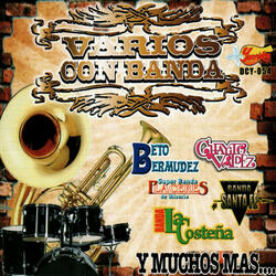 Mi Linda SInaloa
