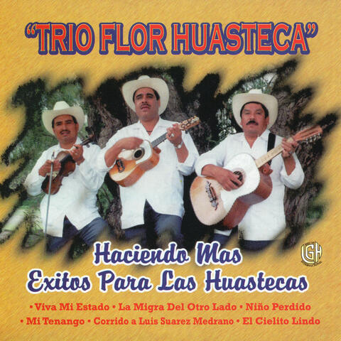 Haciendo Mas Exitos Para Las Huastecas