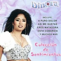 Como Olvidar