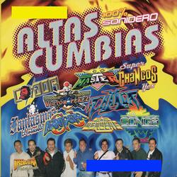 El Tigre De Santa Julia