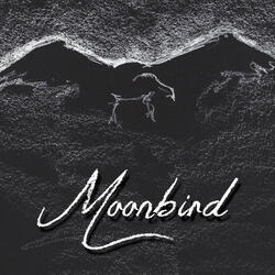 Moonbird