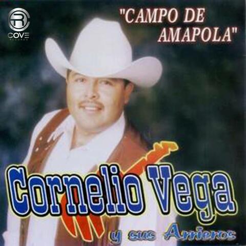 Campo de Amapola