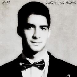 Goodbye (Josh Tribute)