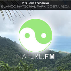 4 PM (Blanco National Park, Costa Rica)
