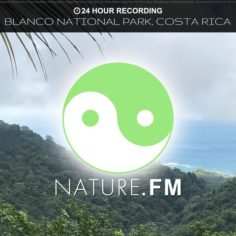 24 Hour Recording: Blanco National Park, Costa Rica (Nature Sounds for Meditation, Relaxation, Yoga, Baby Sleep, Spa, Chakra Balancing, Sound Therapy, Studying, Healing Massage, Insomnia and Deep Sleep)