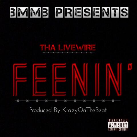 Feenin' (feat. KrazyOnTheBeats) - Single