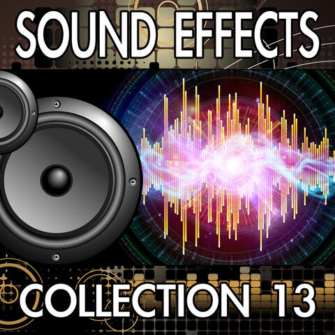 Sound Effects Collection, Vol. 13