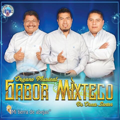 Mi Tierra de Abejas