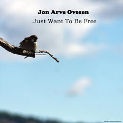 Just Want to Be Free (Instrumental)