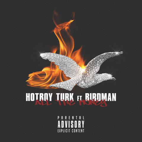 All the Money (feat. Birdman)