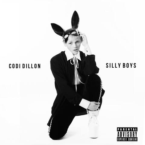 Silly Boys
