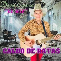 Caldo de ratas