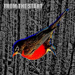 Function and Promise