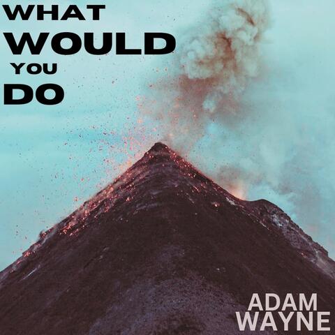 What Would You Do