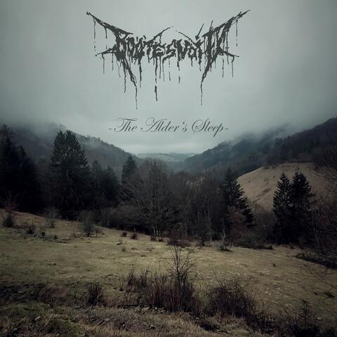 The Alder's Sleep