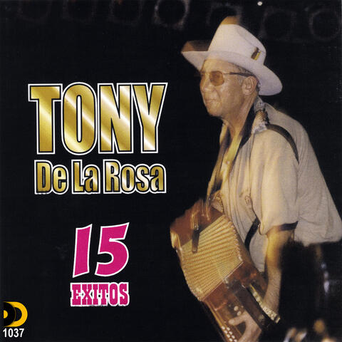 15 Éxitos