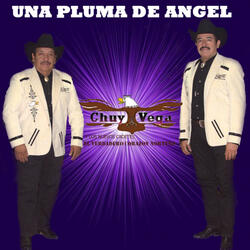 Voy a Cantar por No Llorar