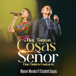 Hay Tantas Cosas Señor Que Quiero Contarte (En Vivo) [feat. Elizabet Saquic]
