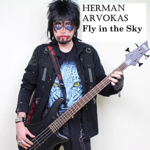 Fly in the Sky