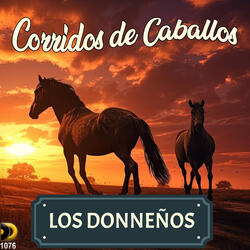Caballo de Patas Blancas